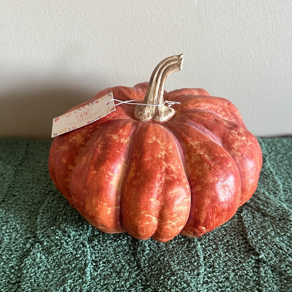The Farmhouse by Rachel Ashwell Pumpkin 🎃 Gourd Orange Decor NEW!